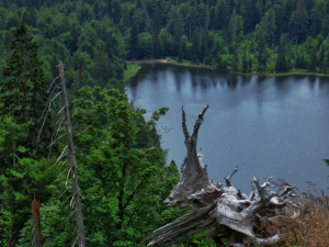 Zdolejte druhou nejvyšší horu Šumavy a Bavorského lesa. Na Roklan se vydejte úchvatnou, ale nejtěžší cestou