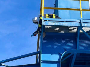 Jihočechy trápí nebezpečný hmyz. Hasiči likvidují vosí hnízda i jedenáctkrát za den