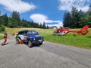 Horská služba varuje: V horách přibývá útoků vos a dalšího bodavého hmyzu