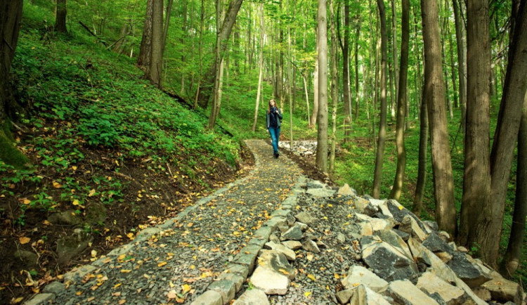 Ilustrační obrázek.