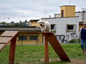 V Písku mají nové psí hřiště, pejskaři na něj čekali celé dva roky