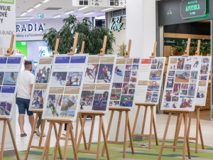 IGY hostí výstavu Českého paralympijského výboru