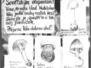 Srpen 1968 v Českých Budějovicích.