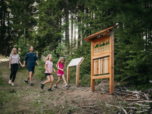 Na ČEZ Lipno Sport Festivalu se vybralo 100 tisíc na charitu a o víkendu se poběží ČT Lipno půlmaraton