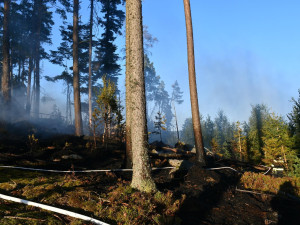 U požáru lesa na Šumavě zasahovalo několik jednotek hasičů