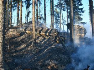 U požáru lesa na Šumavě zasahovalo několik jednotek hasičů