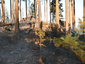 U požáru lesa na Šumavě zasahovalo několik jednotek hasičů