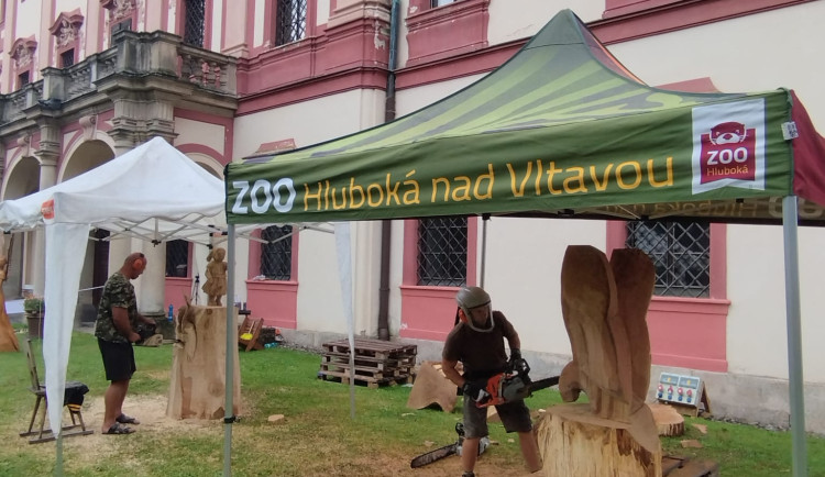 Závěr prázdnin ozvučí okolí areálů Zoo Hluboká a NZM Ohrada motorové pily nejlepších dřevosochařů