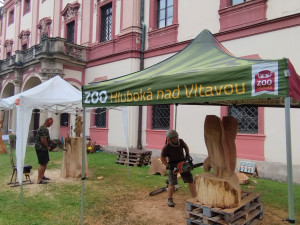 Závěr prázdnin ozvučí okolí areálů Zoo Hluboká a NZM Ohrada motorové pily nejlepších dřevosochařů