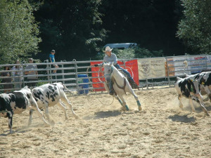 Americké rodeo v Boršově nad Vltavou. Soutěž o mistra ČR, slavnostní atmosféra a spousta zábavy na louce u Vltavy
