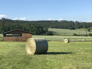 MAS Brána Písecka pomáhá s rozvojem venkova a podporuje ekologické projekty