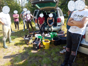Gangy sběračů borůvek drancují lesy v NP Šumava. Strážci jim rozdali pokuty za více než čtvrt milionu korun