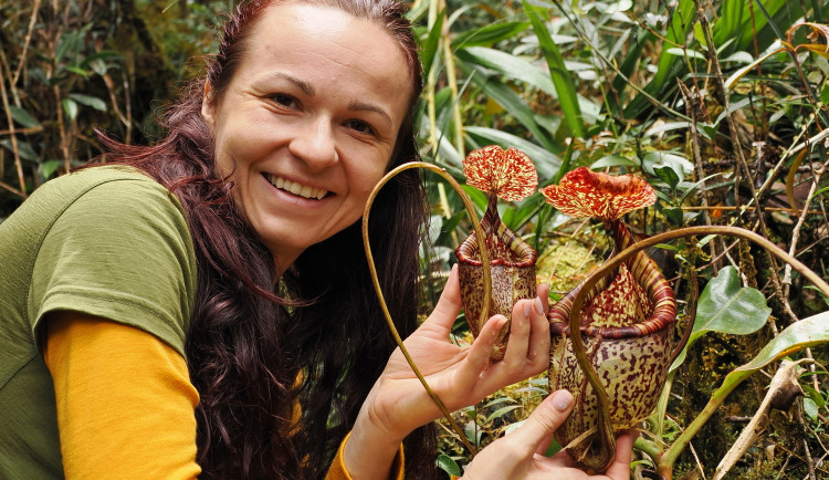 V Jihočeském muzeu startuje prodejní výstava masožravých rostlin