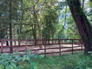 Lanový park, bobová dráha i dinopark. Zámecký areál v Chlumu u Třeboně se nadále bez jakýchkoli povolení mění v zábavní park
