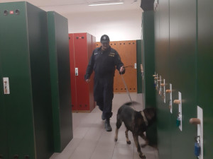 Student poslal anonymní výhružku do školy. Policie ho během několika hodin dopadla