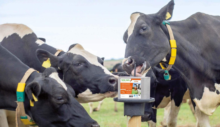 Posolíme.cz je největší dodavatel soli a solných produktů v Jihočeském kraji