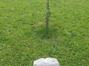 Místní akční skupina Střední Povltaví pomáhá rozvíjet milevský region