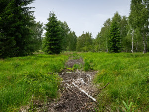 Ochránci vrátili vodu do rašeliniště v přírodní rezervaci Pod Borkovou