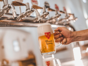 Ochránci vrátili vodu do rašeliniště v přírodní rezervaci Pod Borkovou