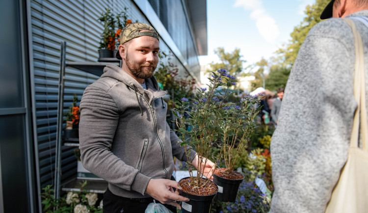 Podzimní Flora Olomouc už tento týden. Výstavě bude letos dominovat šestimetrová postava Natury