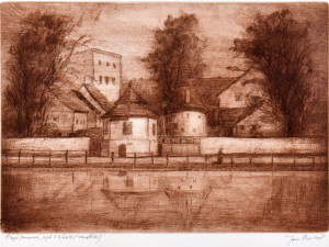 České Budějovice objektivem Milana Bindera a perem Martina Maršíka: Malíř a mykolog Jan Bulíř