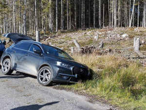 Policisté na Šumavě zadrželi skupinu arabsky mluvících osob, pravděpodobně mířila do Německa