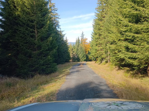 Policisté na Šumavě zadrželi skupinu arabsky mluvících osob, pravděpodobně mířila do Německa