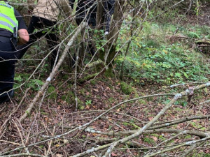 Migranti chtěli přes Šumavu do Německa, cestu jim zablokoval nakladač s dřívím