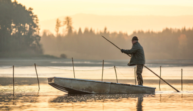 Začíná sezona výlovů. U Munického rybníku na Hluboké zazní hudba a bude vařit šéfkuchař