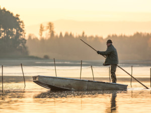 Začíná sezona výlovů. U Munického rybníku na Hluboké zazní hudba a bude vařit šéfkuchař