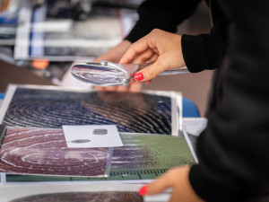 Akce Policistou na zkoušku přilákala rekordní počet zájemců. Úspěšní uchazeči se mohou uplatnit i na nových dálničních odděleních