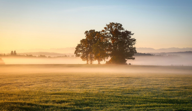 Závěr týdne bude slunečný s teplotami kolem 15°C, ráno se místy objeví mlhy