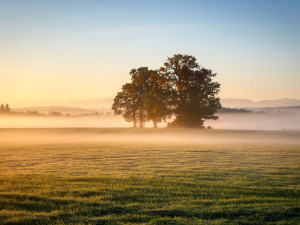 Závěr týdne bude slunečný s teplotami kolem 15°C, ráno se místy objeví mlhy