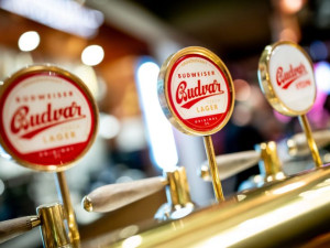 Mistr výčepní 2024 zná svého vítěze. V Budějovickém Budvaru se soutěžilo o nejlépe načepovaný ležák