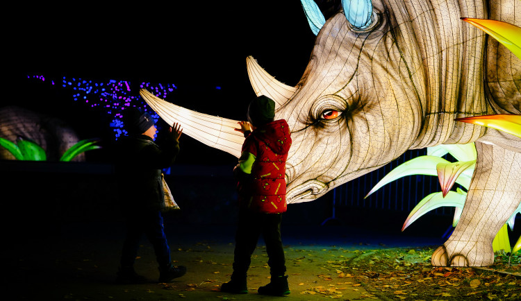 FOTOGALERIE: Gorily, nosorožci i sloni na dotek. Pražská zoo zve na lampionová zářící zvířata