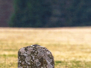 Smírčí kameny na Vodňansku nebyly ukradeny, šlo o omyl silničářů
