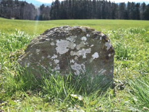 Smírčí kameny na Vodňansku nebyly ukradeny, šlo o omyl silničářů