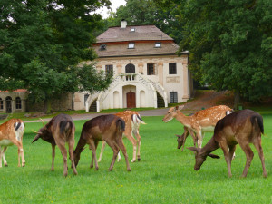 Místní akční skupina Blatensko podporuje rozvoj území ve všech 32 obcích od Radomyšle až po Březí