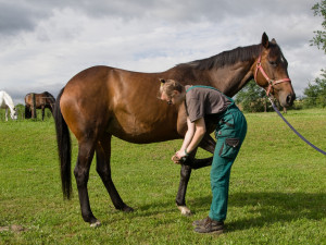 Přemýšlíš, kam na učňák? Zkus to v Trhových Svinech