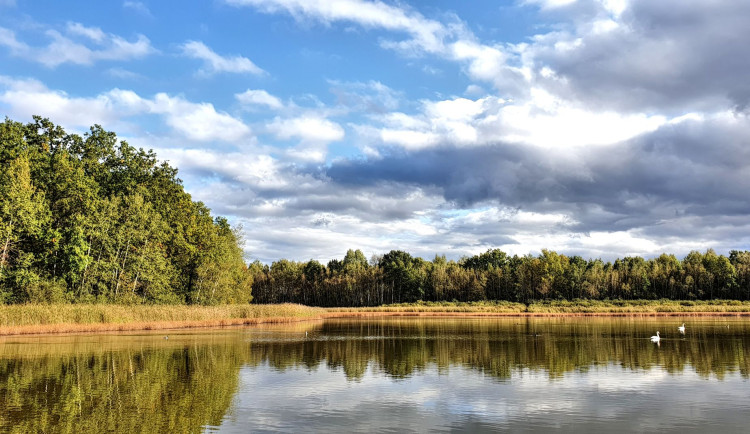 POLITICKÁ KORIDA: Jaký je váš názor na změnu územního plánu v evropsky významné lokalitě Vávrovské rybníky, kterou pirátští zastupitelé uvedli jako hlavní důvod pro odchod z českobudějovické vládní koalice?
