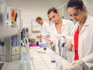 Maturanti a další zájemci o studium na Jihočeské univerzitě mohou začít podávat přihlášky