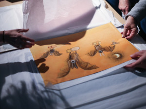 Kontroverzní sbírka ilustrací už se stěhuje, na Krumlovském zámku se výstava představí již v příští sezoně