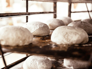 Úspěšný rok pro Pekařství Cais. Díky kvalitním surovinám a poctivým pekařům putovalo do Vlachova Březí nejedno ocenění