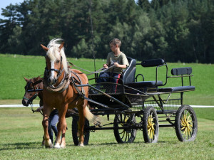 Místní akční skupina Pomalší utváří příběhy tradice, inovace a spolupráce