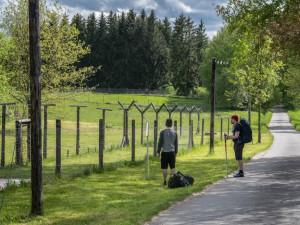 Vánoce, to jsou zážitky z jižních Čech. Darujte procházku s alpakou, jízdu traktorem nebo lední jachting na Lipně