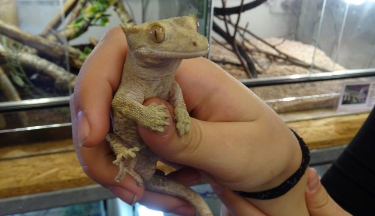 SOŠ ekologická a potravinářská ve Veselí nad Lužnicí má nadregionální dosah a velmi zajímavé obory. Zve na Den otevřených dveří ve středu 27. listopadu