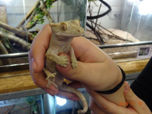 SOŠ ekologická a potravinářská ve Veselí nad Lužnicí je střední škola, která má nadregionální dosah a velmi zajímavé obory. Zve na Den otevřených dveří
