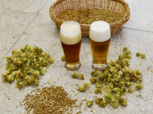 SOŠ ekologická a potravinářská ve Veselí nad Lužnicí je střední škola, která má nadregionální dosah a velmi zajímavé obory. Zve na Den otevřených dveří