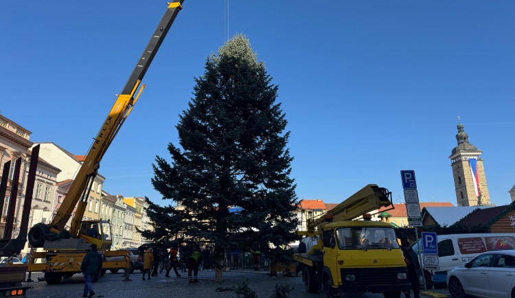 FOTO: Náměstí Přemysla Otakara II. zdobí od soboty vánoční strom. Do Budějc ho přivezli z Neznašova