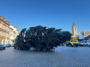 Náměstí Přemysla Otakara II. zdobí od soboty vánoční strom. Do Budějc ho přivezli z Neznašova